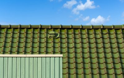 Lönar det sig att byta tak före försäljning?