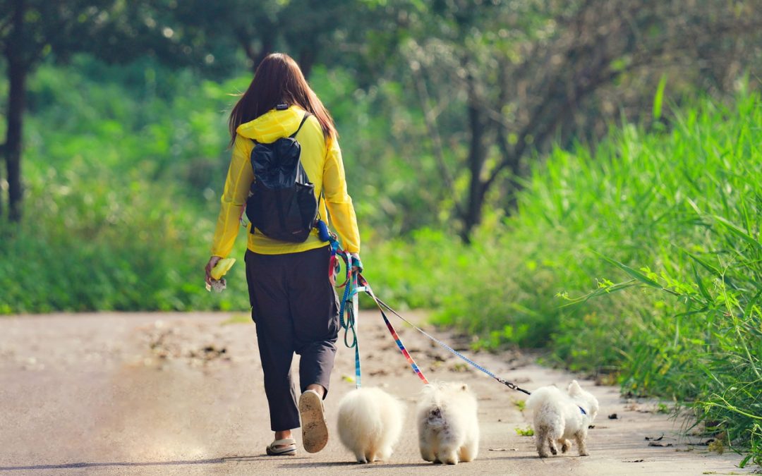 Hur långt måste man gå för att förbränna 1000 kalorier?