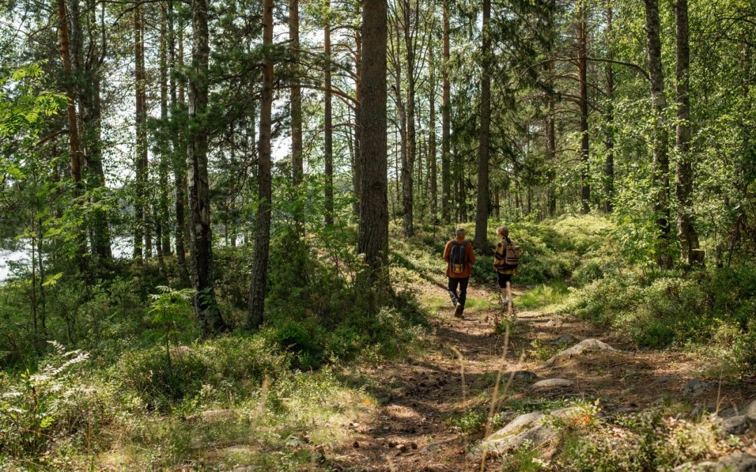 5 saker du behöver innan du ger dig ut och vandrar
